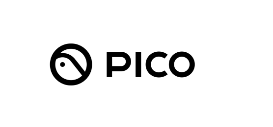 infographic logo pico